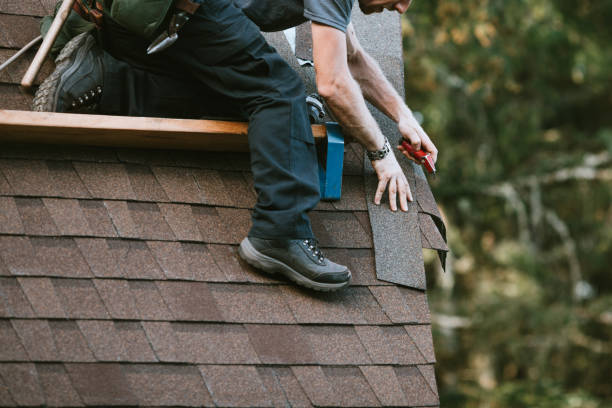 Best Roof Gutter Cleaning  in Rio Pinar, FL